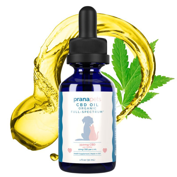 Shop CBD Oil for Cats | Prana Pets
