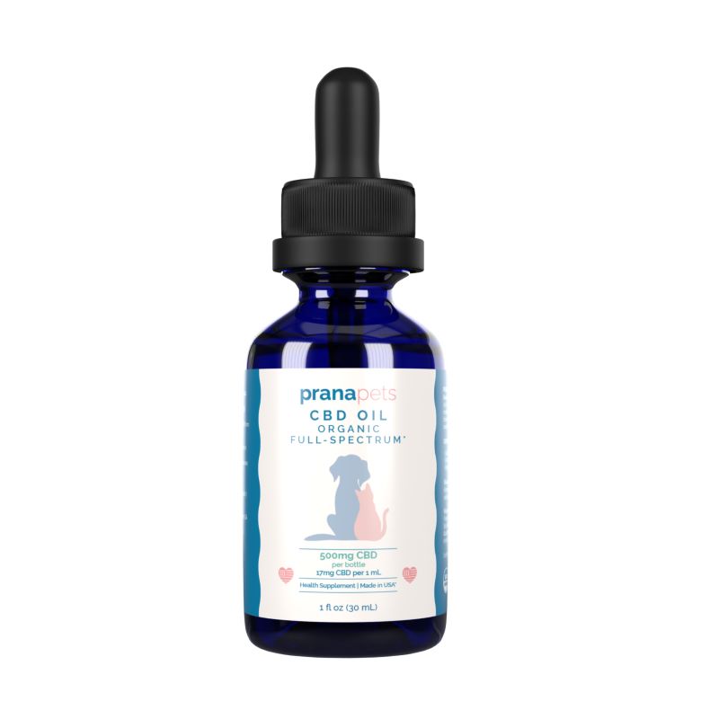 CBD Oil for Pets
