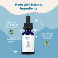 Thumbnail for Kidney CBD Health Pack