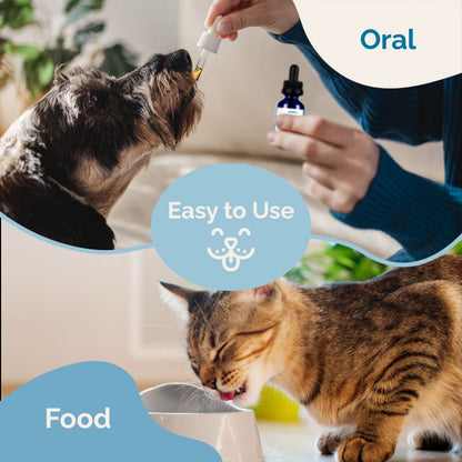 CBD Oil for Pets