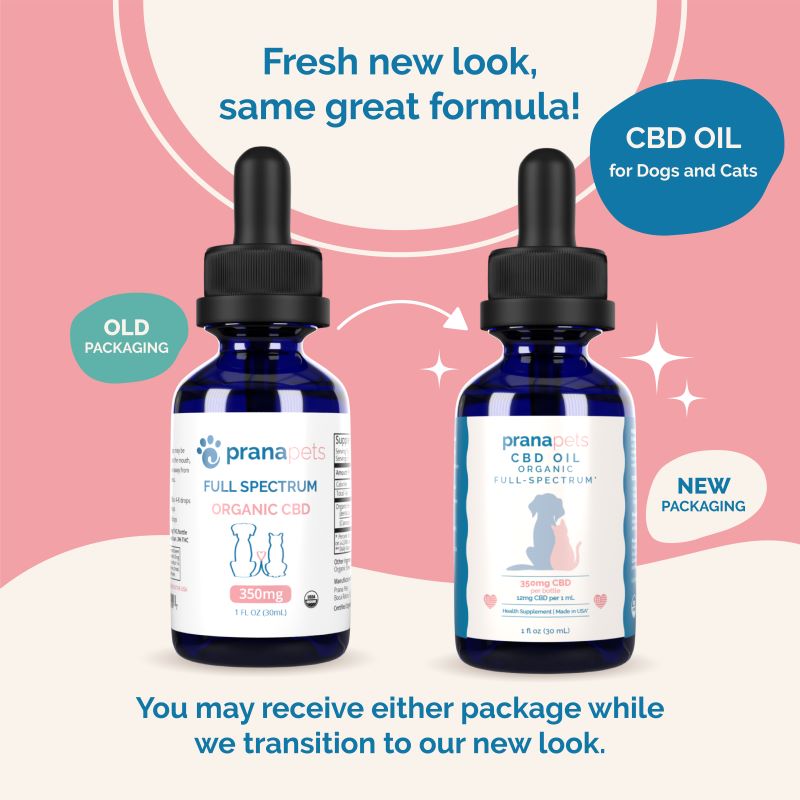CBD for Pets 3 Pack
