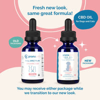 Thumbnail for CBD Oil for Dogs