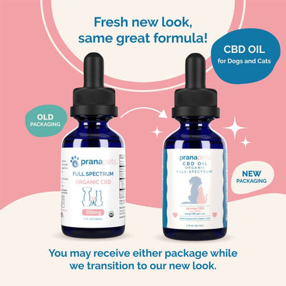 CBD Oil for Pets