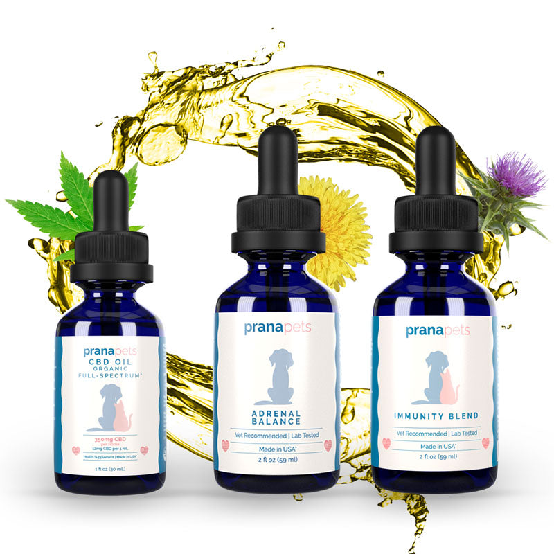 Cushing's Killer Combo