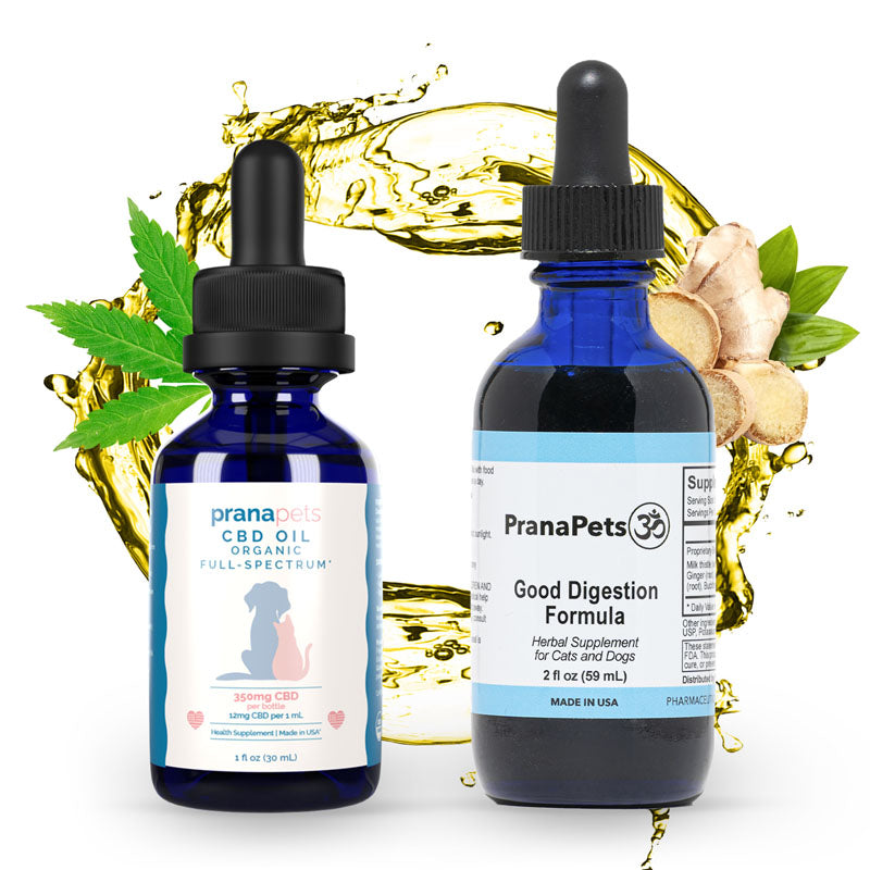 Good Digestion Digestive Aid for Dogs Prana Pets