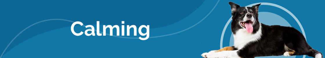 Desktop Collection Banner