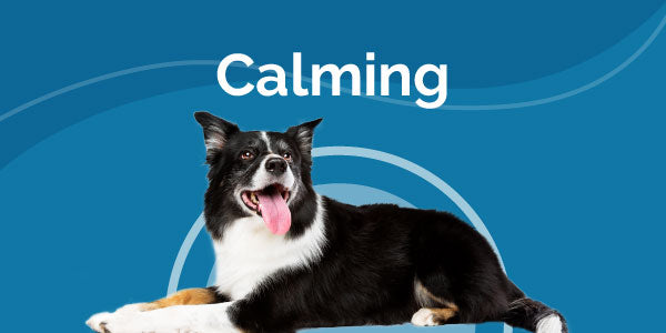 Mobile Collection Banner