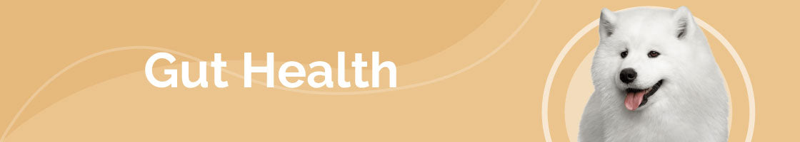Desktop Collection Banner