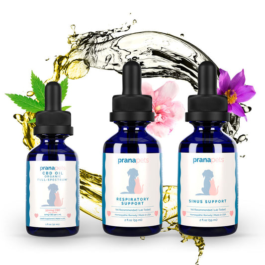 The Easy Breathing Symptom Pack