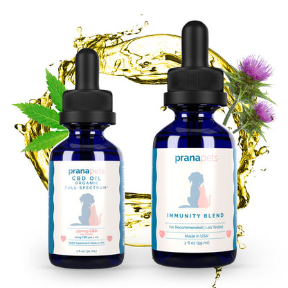 CBD Immunity Regimen