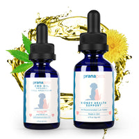 Thumbnail for Kidney CBD Health Pack