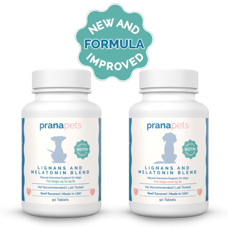 Melatonin and Lignans for Dogs with Biotin