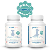 Thumbnail for Melatonin and Lignans for Dogs with Biotin