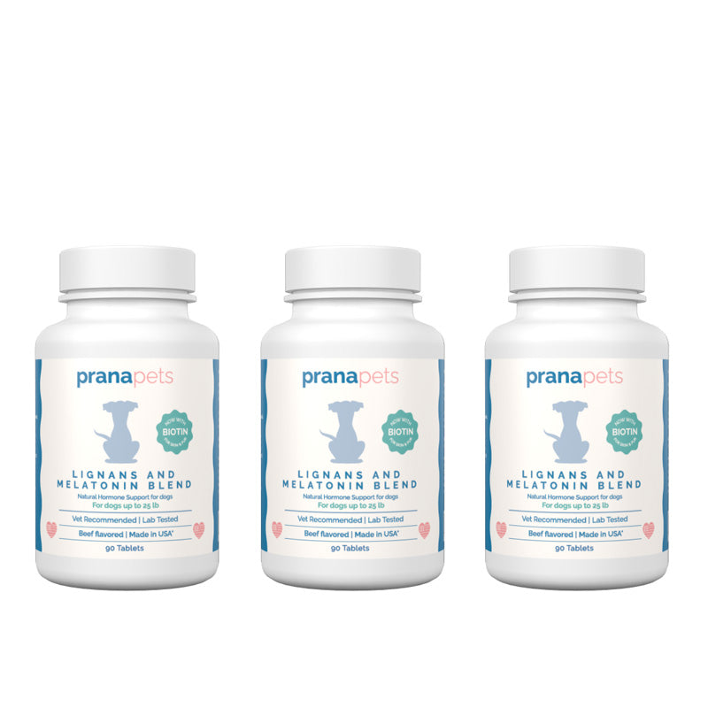 Melatonin and Lignans for Dogs with Biotin