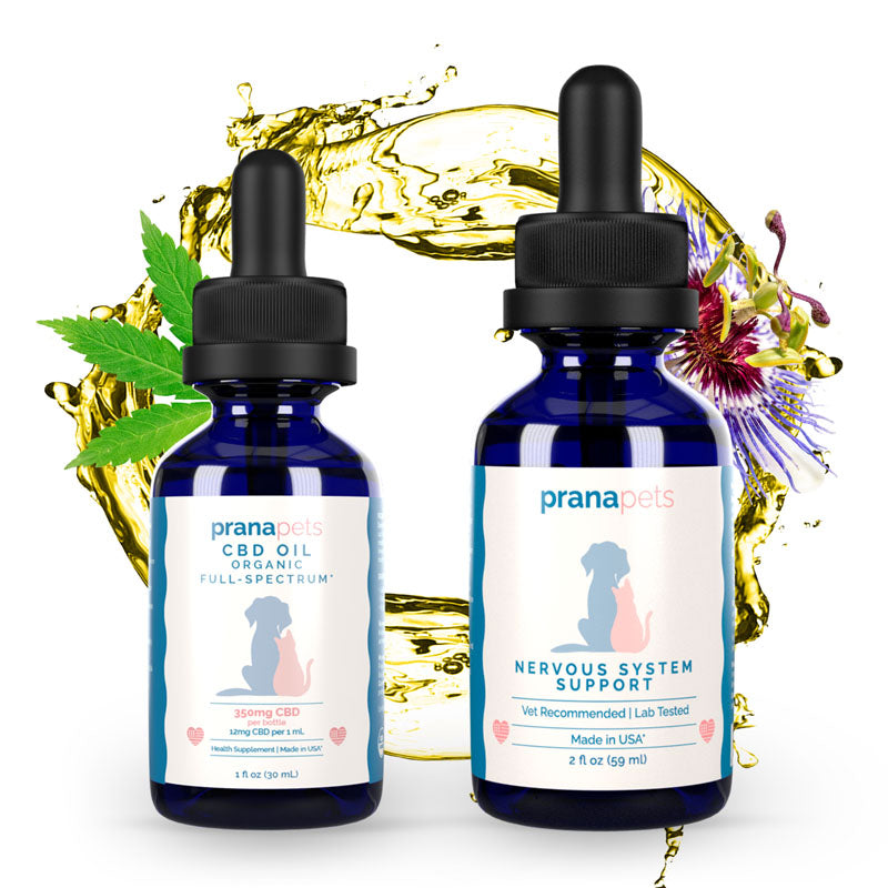 Seizure Support Pack