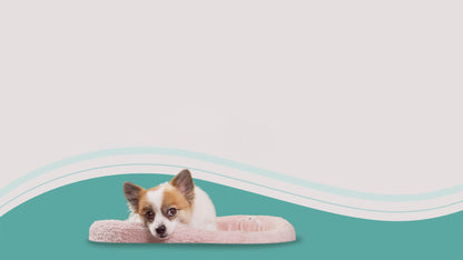 Mobility & Coat Care Chews for Dogs - 60 Ct