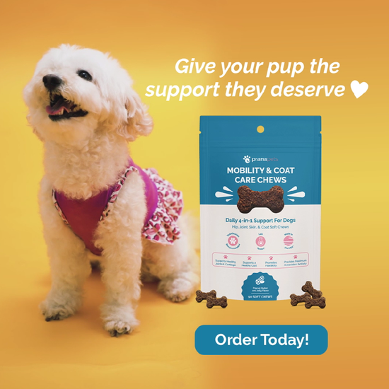 prana pets mobility and coat care chews for dogs ingredients with MSM, chondroitin and glucosamine for dogs