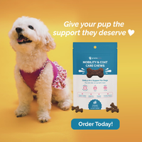 prana pets mobility and coat care chews for dogs ingredients with MSM, chondroitin and glucosamine for dogs
    