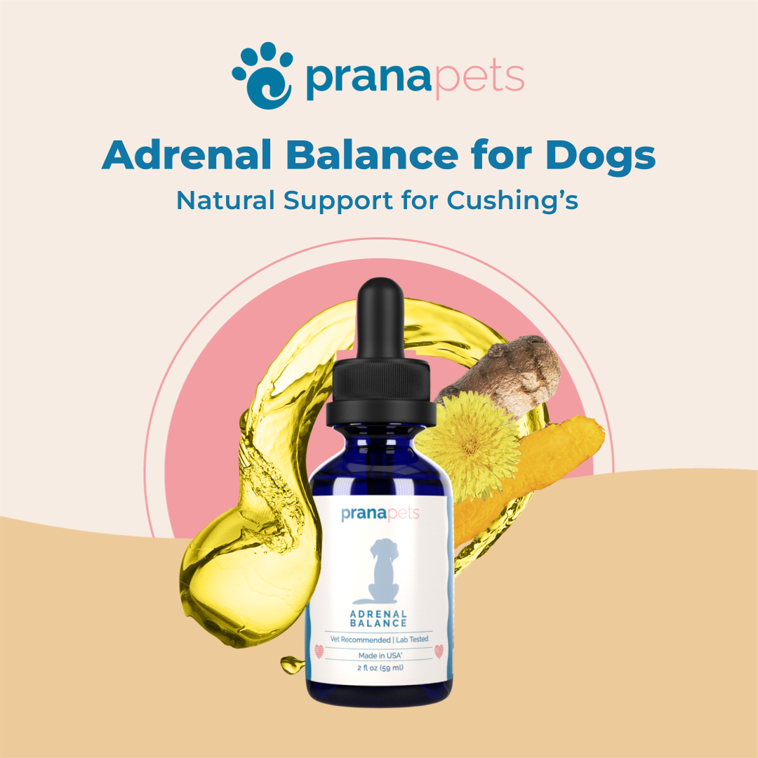 Adrenal and Lignans Combo