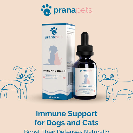 Prana Pets Immunity Blend Immune Support Supplement for Dogs and Cats