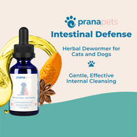 Benefits of Intestinal Defense Herbal Dewormer for Dogs
    