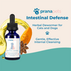 Benefits of Intestinal Defense Herbal Dewormer for Dogs