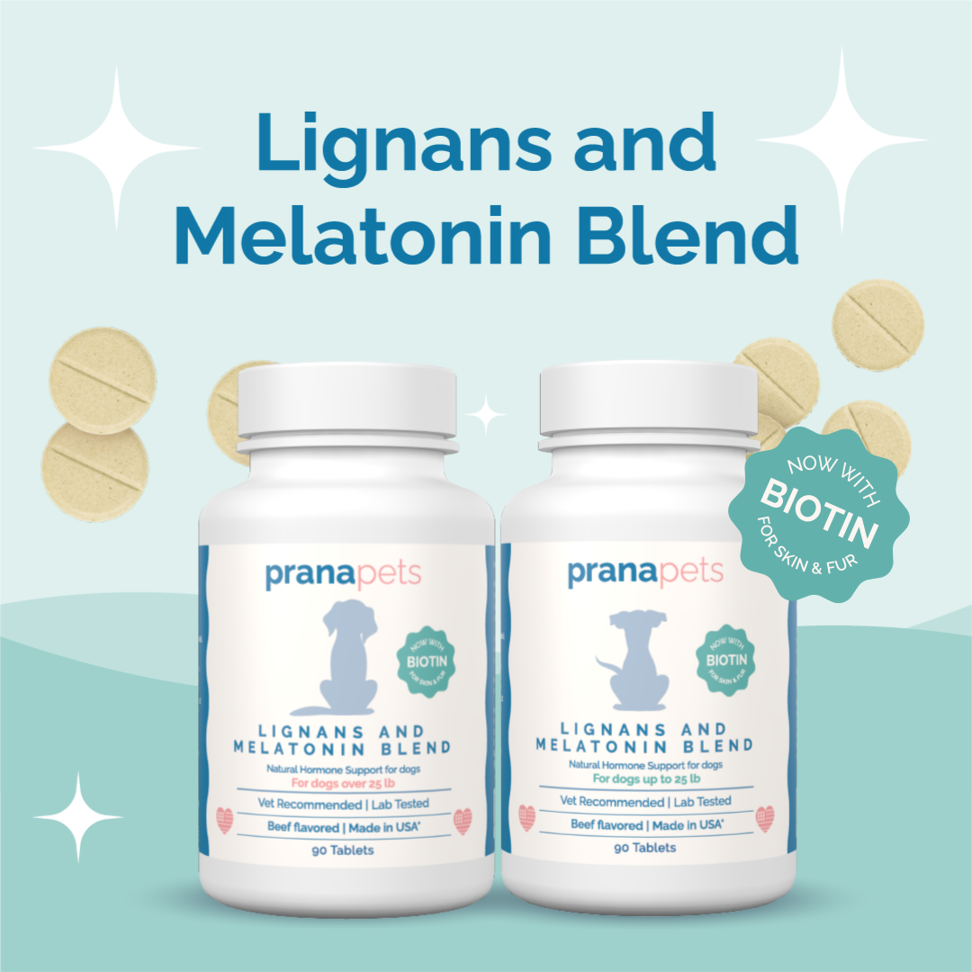 NEW Lignans and Melatonin for Dogs with Biotin