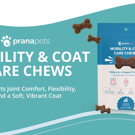 prana pets mobility and coat care chews for dogs