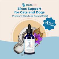 Sinus Support Supplement for Dogs
    