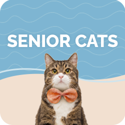 Senior Cat Health Supplements