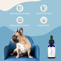 Thumbnail for Adrenal Support for Dogs with Cushing's