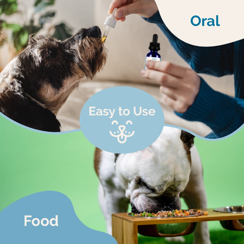 Adrenal Support Supplement for Dogs Prana Pets