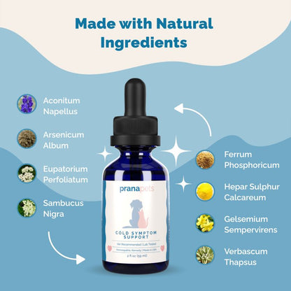 Cold Symptom Support for Cats