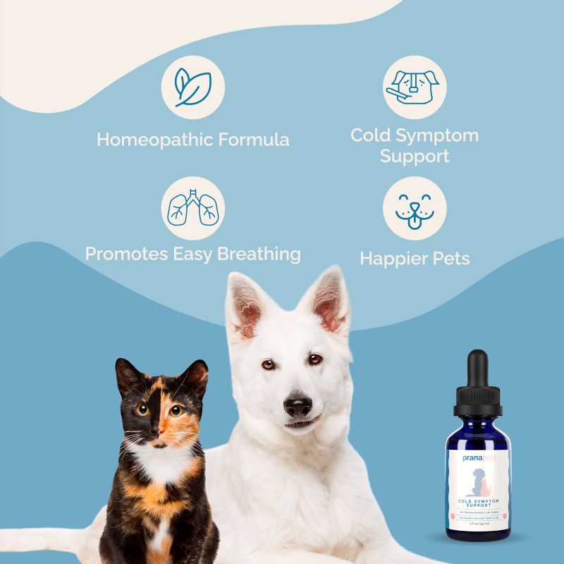 Cat clearance cold medicine