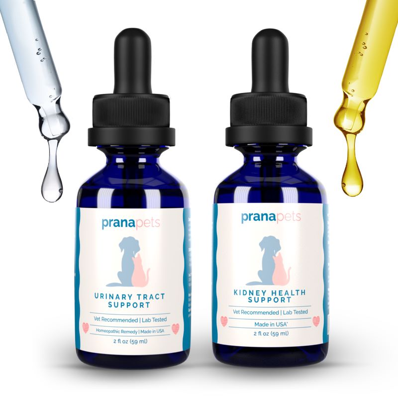 Complete Bladder Pack