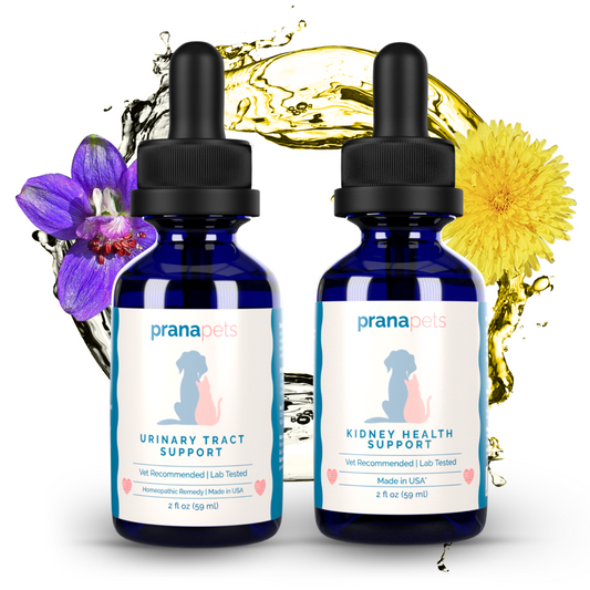 Complete Bladder Pack