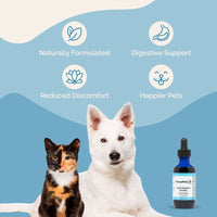 Thumbnail for Good Digestion Formula for Dogs