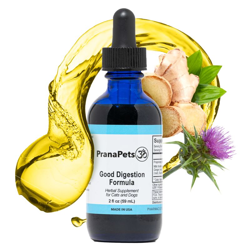 View of Cat Digestive Supplements for Gut Health - Prana Pets