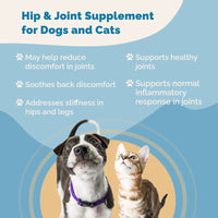 Thumbnail for Hip & Joint Supplement with Glucosamine for Cats