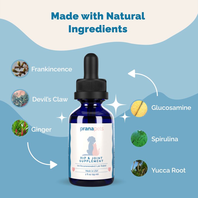 Hip & Joint Supplement with Glucosamine for Cats