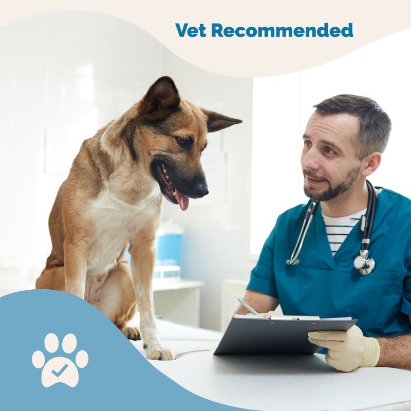 Vet recommended glucosamine for dogs cheap