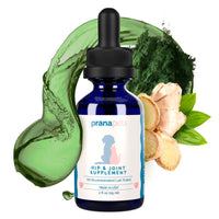 Thumbnail for Hip & Joint Health Support for Dogs