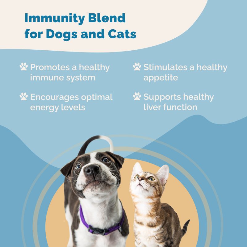 CBD Immunity Regimen