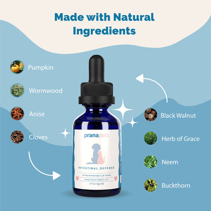 Intestinal Defense Herbal Dewormer for Dogs