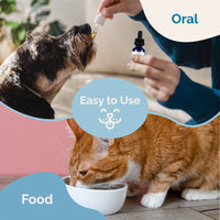 Thumbnail for Intestinal Defense Herbal Dewormer for Cats