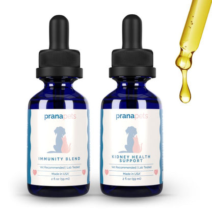 Kidney Immunity Regimen