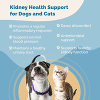 Thumbnail for Kidney Health Support for Cats