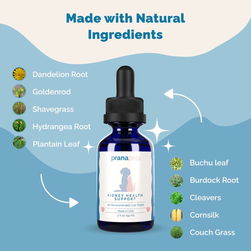 Kidney CBD Health Pack