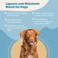 Thumbnail for Melatonin and Lignans for Dogs