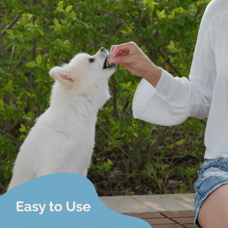 Melatonin for dogs australia sale